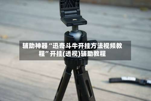 辅助神器“迅奇斗牛开挂方法视频教程”开挂(透视)辅助教程-第1张图片