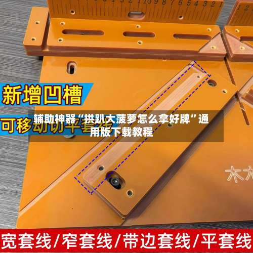 辅助神器“拱趴大菠萝怎么拿好牌”通用版下载教程-第3张图片