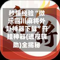秒懂经验“微乐四川麻将外卦神器下载”开挂神器{透视辅助}全揭秘-第2张图片