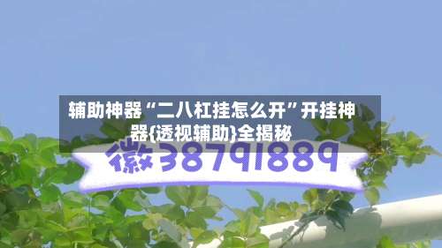 辅助神器“二八杠挂怎么开	”开挂神器{透视辅助}全揭秘-第1张图片