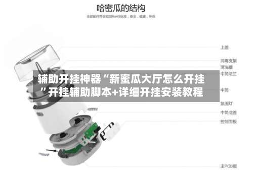 辅助开挂神器“新蜜瓜大厅怎么开挂”开挂辅助脚本+详细开挂安装教程-第3张图片