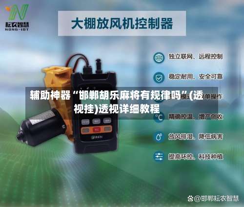 辅助神器“邯郸胡乐麻将有规律吗”(透视挂)透视详细教程-第1张图片