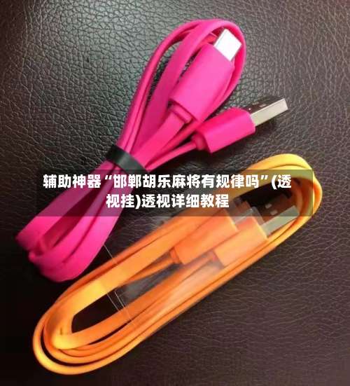 辅助神器“邯郸胡乐麻将有规律吗”(透视挂)透视详细教程-第3张图片