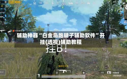 辅助神器“白金岛跑胡子辅助软件”开挂(透视)辅助教程-第1张图片