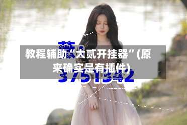 教程辅助“大贰开挂器”(原来确实是有插件)-第1张图片