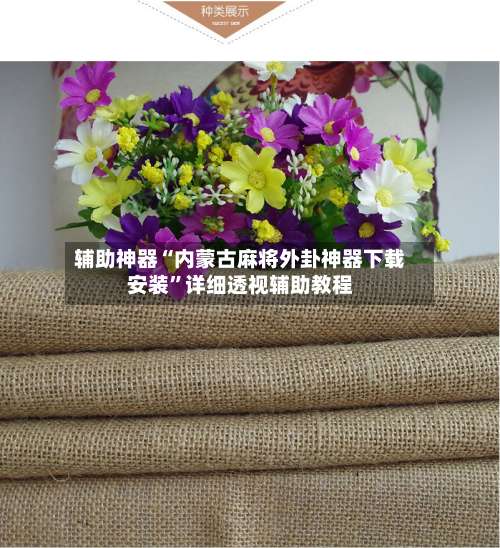 辅助神器“内蒙古麻将外卦神器下载安装”详细透视辅助教程-第1张图片