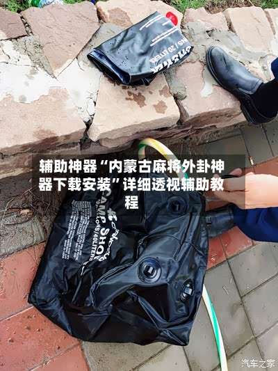 辅助神器“内蒙古麻将外卦神器下载安装”详细透视辅助教程-第3张图片