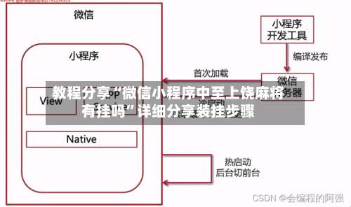 教程分享“微信小程序中至上饶麻将有挂吗”详细分享装挂步骤-第2张图片