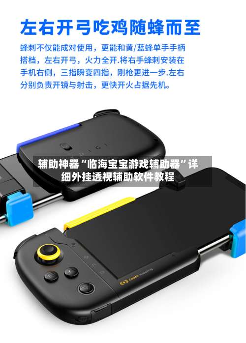 辅助神器“临海宝宝游戏辅助器	”详细外挂透视辅助软件教程-第1张图片