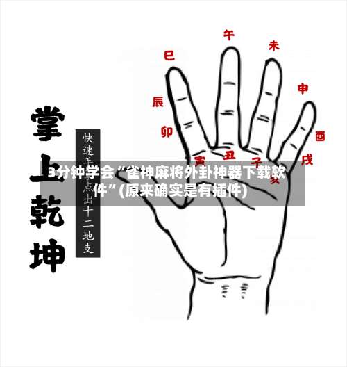 3分钟学会“雀神麻将外卦神器下载软件	”(原来确实是有插件)-第1张图片