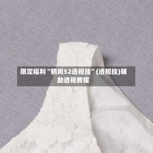 限定福利“鹤岗52透视挂”(透视挂)辅助透视教程-第1张图片