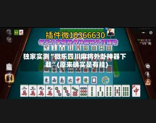 独家实测“微乐四川麻将外卦神器下载”(原来确实是有挂)-第2张图片
