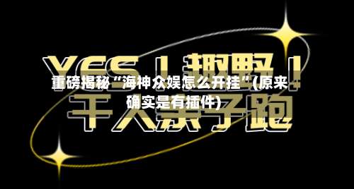 重磅揭秘“海神众娱怎么开挂”(原来确实是有插件)-第3张图片