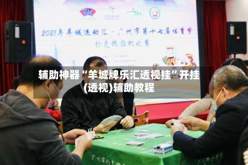 辅助神器“羊城牌乐汇透视挂	”开挂(透视)辅助教程-第2张图片