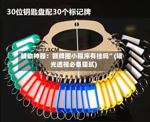辅助神器：赣牌圈小程序有挂吗	”(曝光透视必备猫腻)-第1张图片