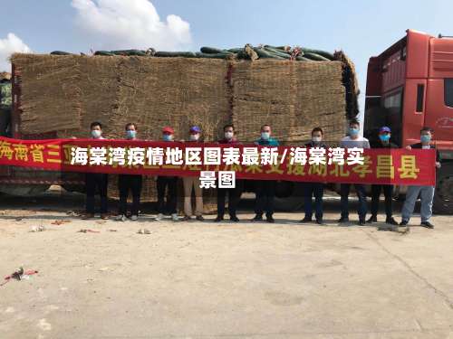 海棠湾疫情地区图表最新/海棠湾实景图-第2张图片