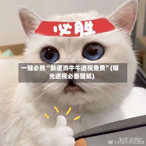 一键必胜“新道游牛牛透视免费	”(曝光透视必备猫腻)-第3张图片