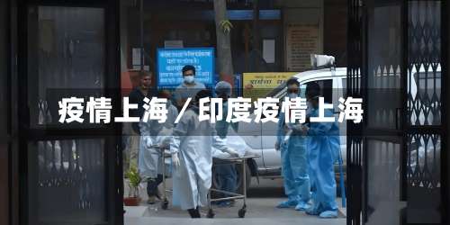 疫情上海／印度疫情上海-第1张图片