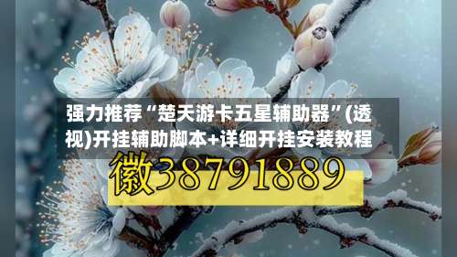 强力推荐“楚天游卡五星辅助器”(透视)开挂辅助脚本+详细开挂安装教程-第3张图片