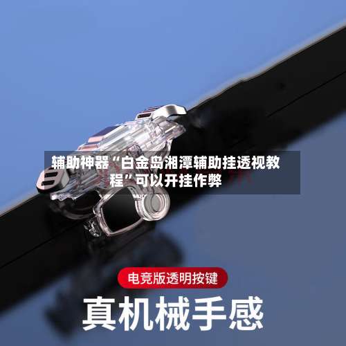 辅助神器“白金岛湘潭辅助挂透视教程”可以开挂作弊-第3张图片