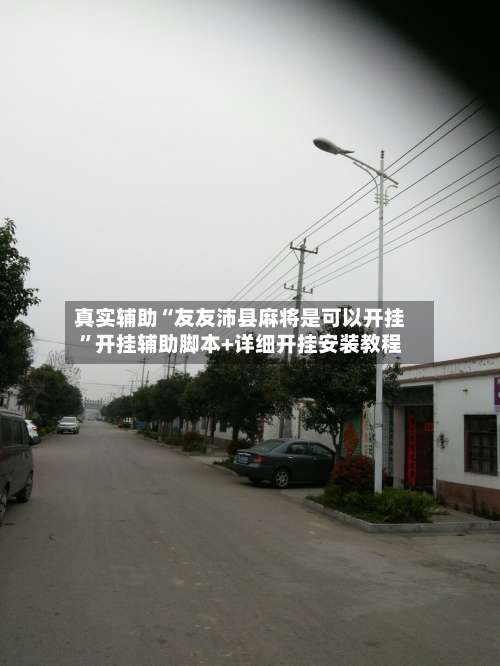 真实辅助“友友沛县麻将是可以开挂	”开挂辅助脚本+详细开挂安装教程-第2张图片