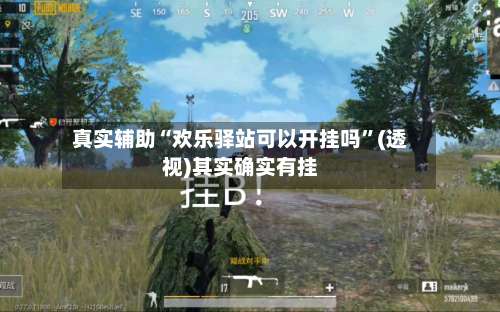 真实辅助“欢乐驿站可以开挂吗”(透视)其实确实有挂-第1张图片