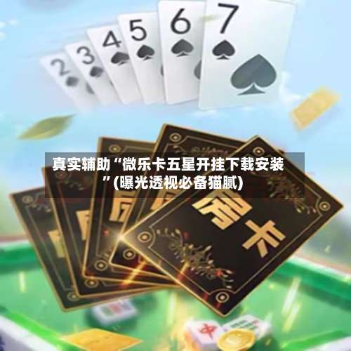 真实辅助“微乐卡五星开挂下载安装”(曝光透视必备猫腻)-第2张图片