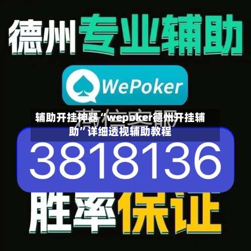辅助开挂神器“wepoker德州开挂辅助”详细透视辅助教程-第2张图片