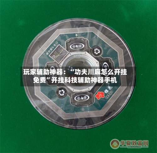 玩家辅助神器：“功夫川麻怎么开挂免费”开挂科技辅助神器手机-第3张图片