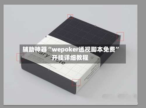 辅助神器“wepoker透视脚本免费”开挂详细教程-第3张图片