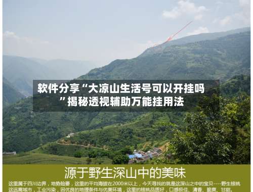 软件分享“大凉山生活号可以开挂吗”揭秘透视辅助万能挂用法-第1张图片