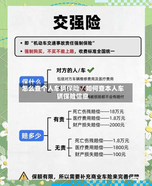 怎么查个人车辆保险／如何查本人车辆保险信息-第1张图片