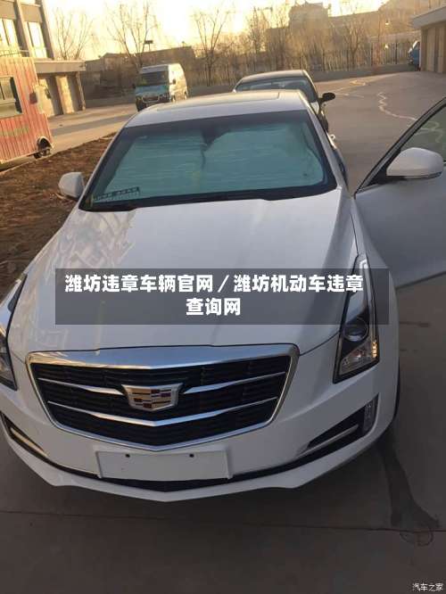 潍坊违章车辆官网／潍坊机动车违章查询网-第1张图片