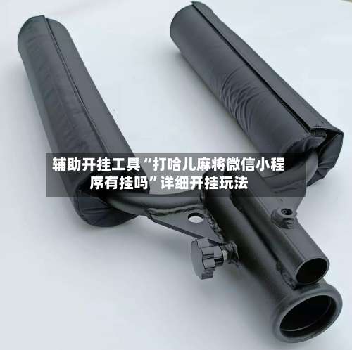 辅助开挂工具“打哈儿麻将微信小程序有挂吗”详细开挂玩法-第1张图片