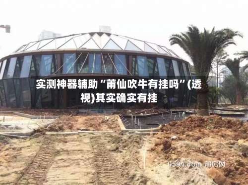 实测神器辅助“莆仙吹牛有挂吗”(透视)其实确实有挂-第2张图片