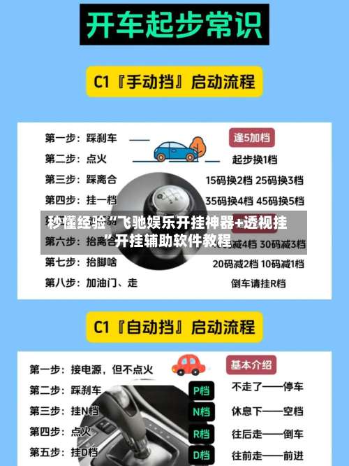 秒懂经验“飞驰娱乐开挂神器+透视挂”开挂辅助软件教程-第3张图片