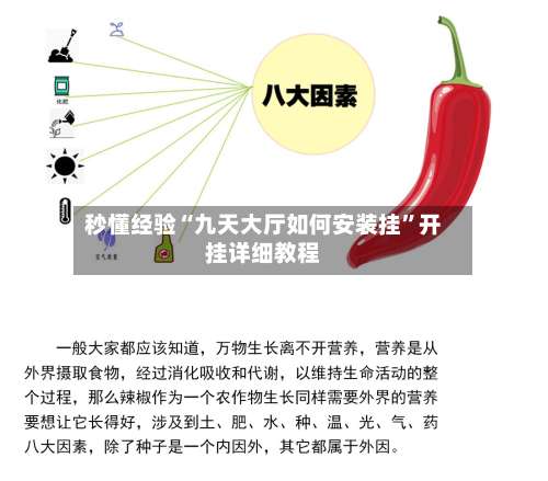 秒懂经验“九天大厅如何安装挂”开挂详细教程-第2张图片