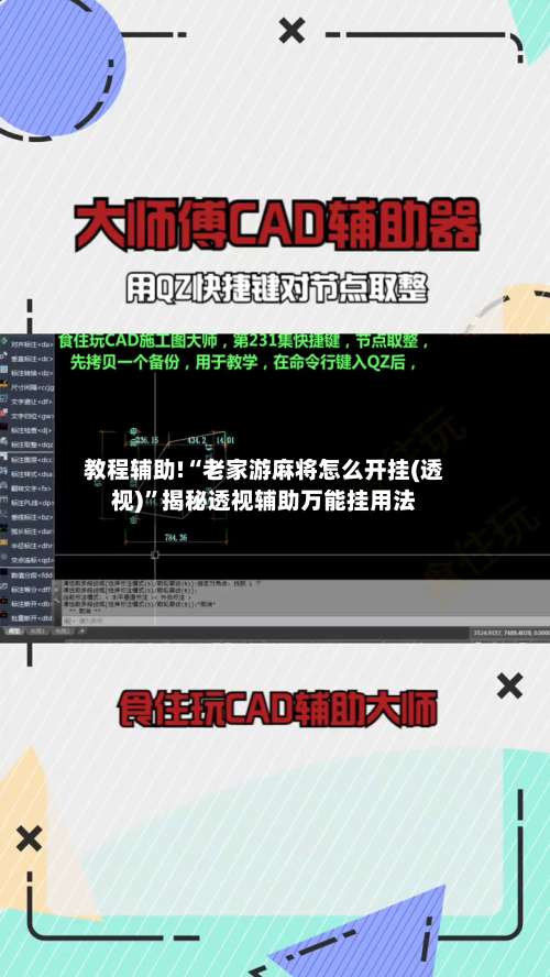 教程辅助!“老家游麻将怎么开挂(透视)”揭秘透视辅助万能挂用法-第1张图片