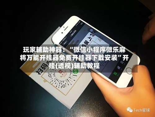 玩家辅助神器：“微信小程序微乐麻将万能开挂器免费开挂器下载安装	”开挂(透视)辅助教程-第1张图片