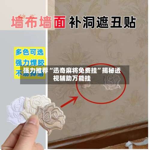 强力推荐“迅奇麻将免费挂”揭秘透视辅助万能挂-第1张图片