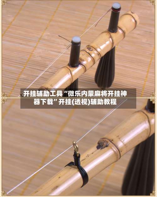 开挂辅助工具“微乐内蒙麻将开挂神器下载”开挂(透视)辅助教程-第3张图片