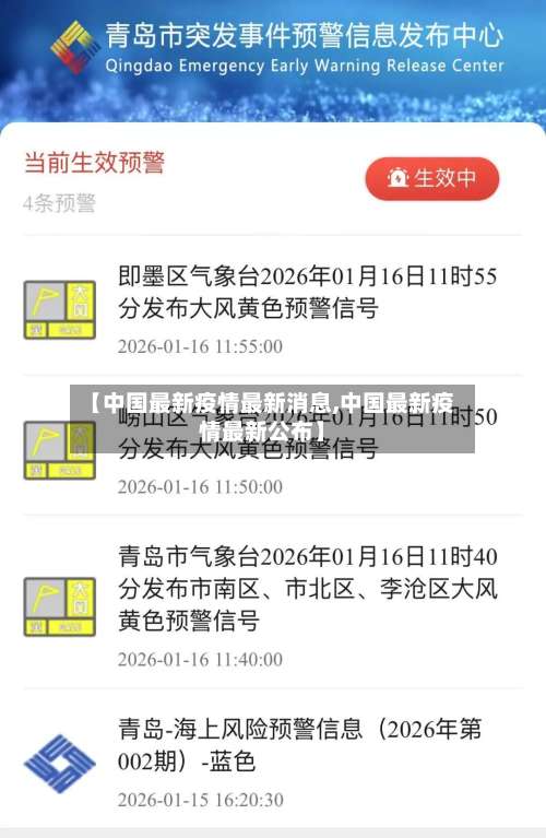【中国最新疫情最新消息,中国最新疫情最新公布】-第3张图片