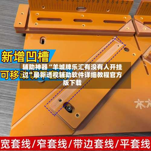 辅助神器“羊城牌乐汇有没有人开挂过	”最新透视辅助软件详细教程官方版下载-第1张图片