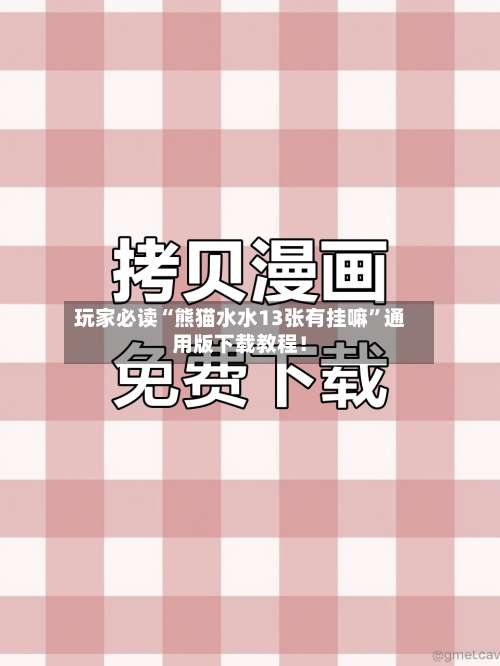 玩家必读“熊猫水水13张有挂嘛”通用版下载教程！-第1张图片