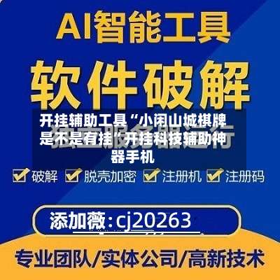 开挂辅助工具“小闲山城棋牌是不是有挂”开挂科技辅助神器手机-第2张图片