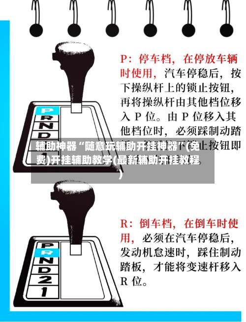 辅助神器“随意玩辅助开挂神器	”(免费)开挂辅助教学(最新辅助开挂教程)-第1张图片