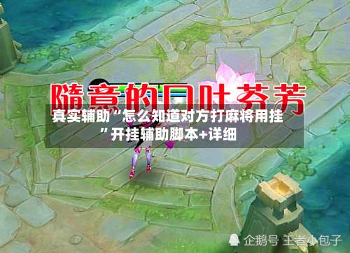 真实辅助“怎么知道对方打麻将用挂	”开挂辅助脚本+详细-第1张图片