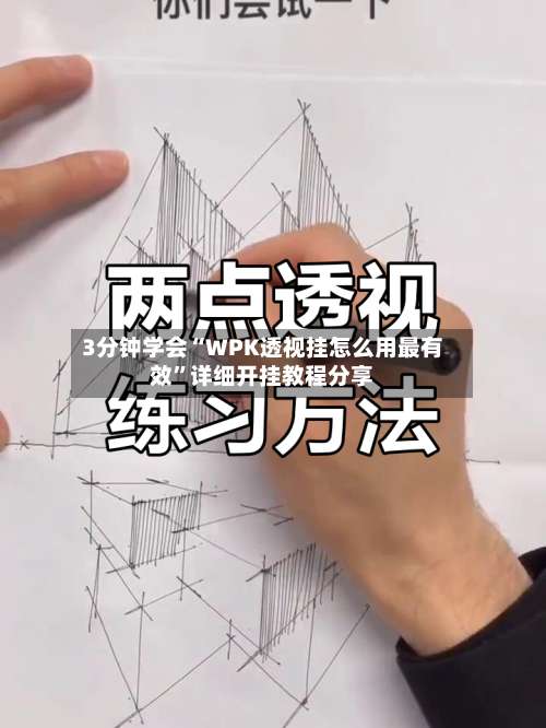 3分钟学会“WPK透视挂怎么用最有效	”详细开挂教程分享-第3张图片