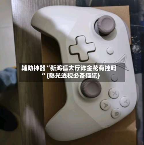 辅助神器“新鸿狐大厅炸金花有挂吗”(曝光透视必备猫腻)-第3张图片