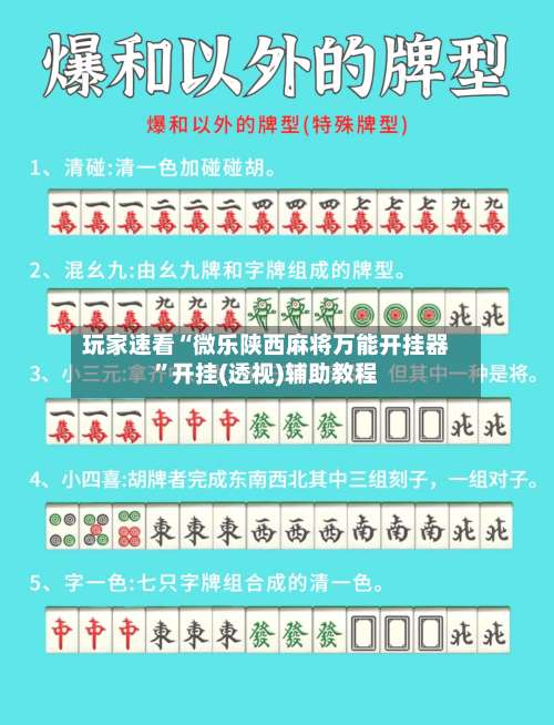 玩家速看“微乐陕西麻将万能开挂器”开挂(透视)辅助教程-第3张图片